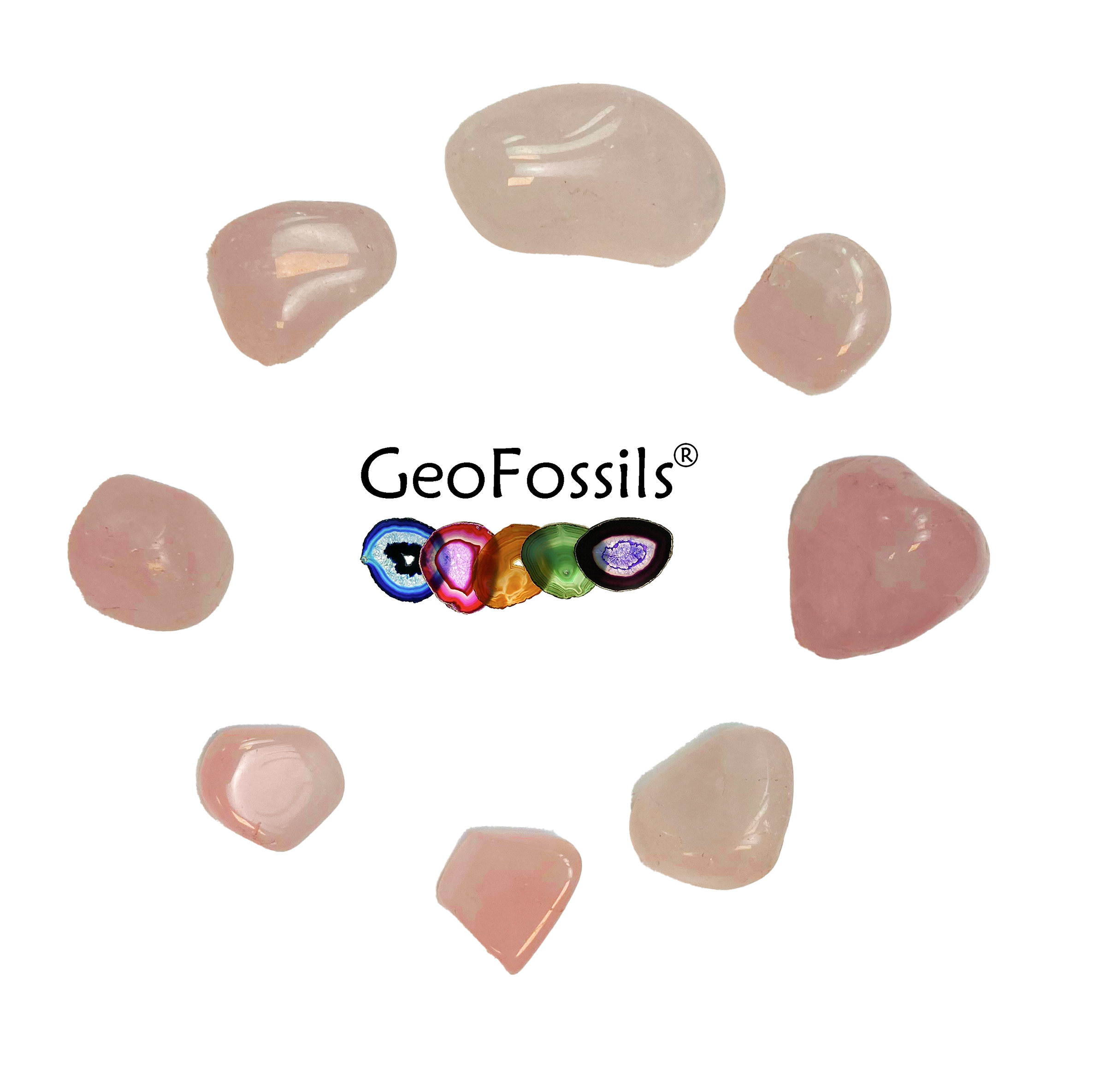 GeoFossils Rose Quartz Tumble Stone, a soft pink crystal promoting love, emotional healing, and inner peace.