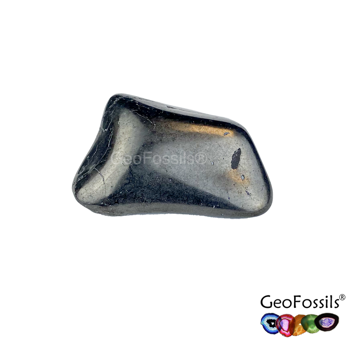 GeoFossils Shungite Tumblestone (20-25mm) Single