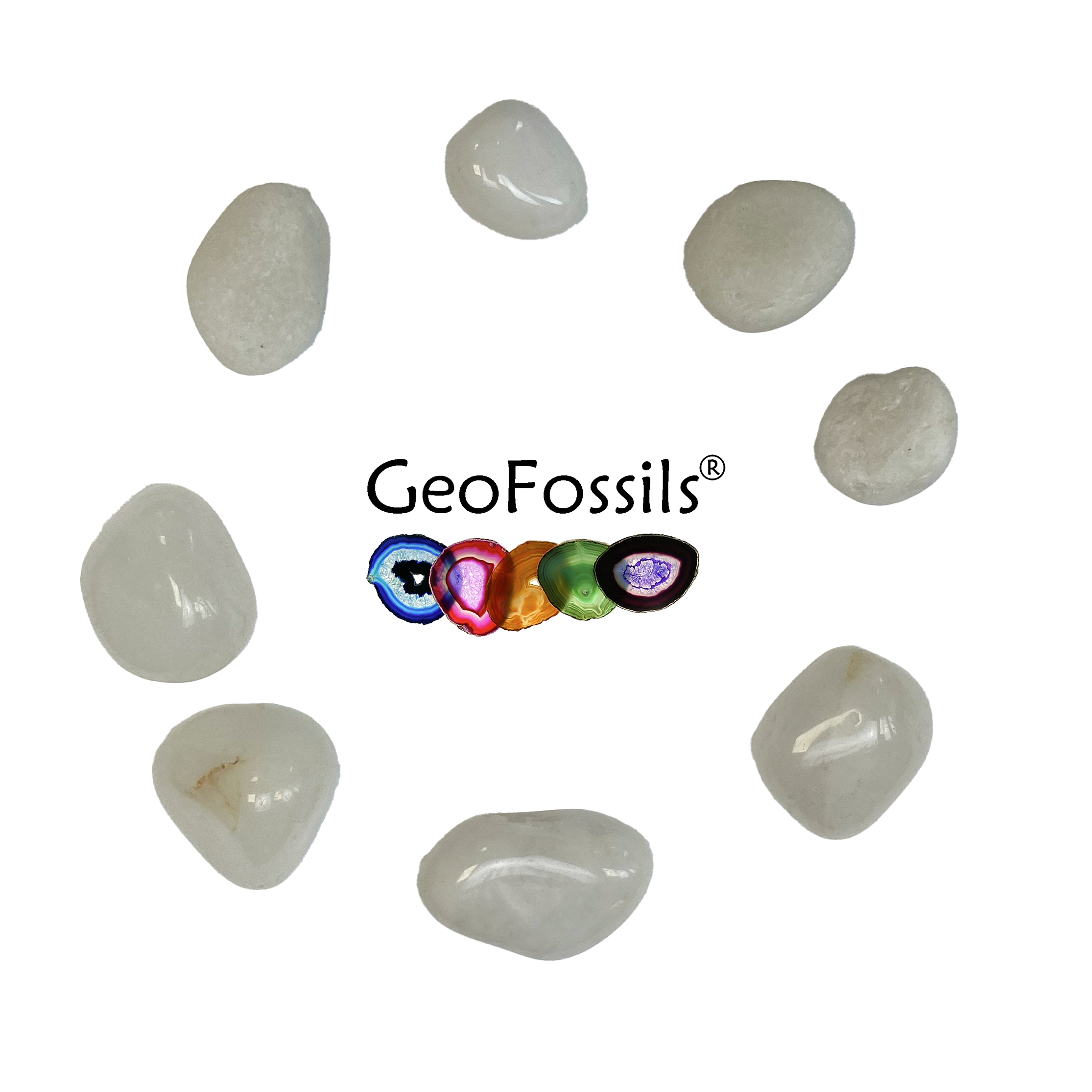 Geofossils Snow Quartz Tumblestones