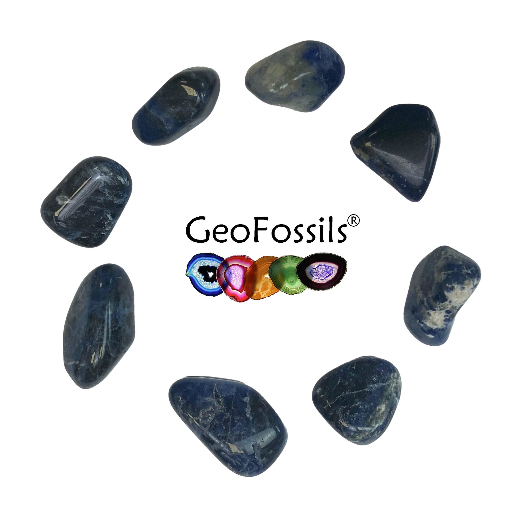 Geofossils Sodalite Polished Tumble Stone Healing Crystals