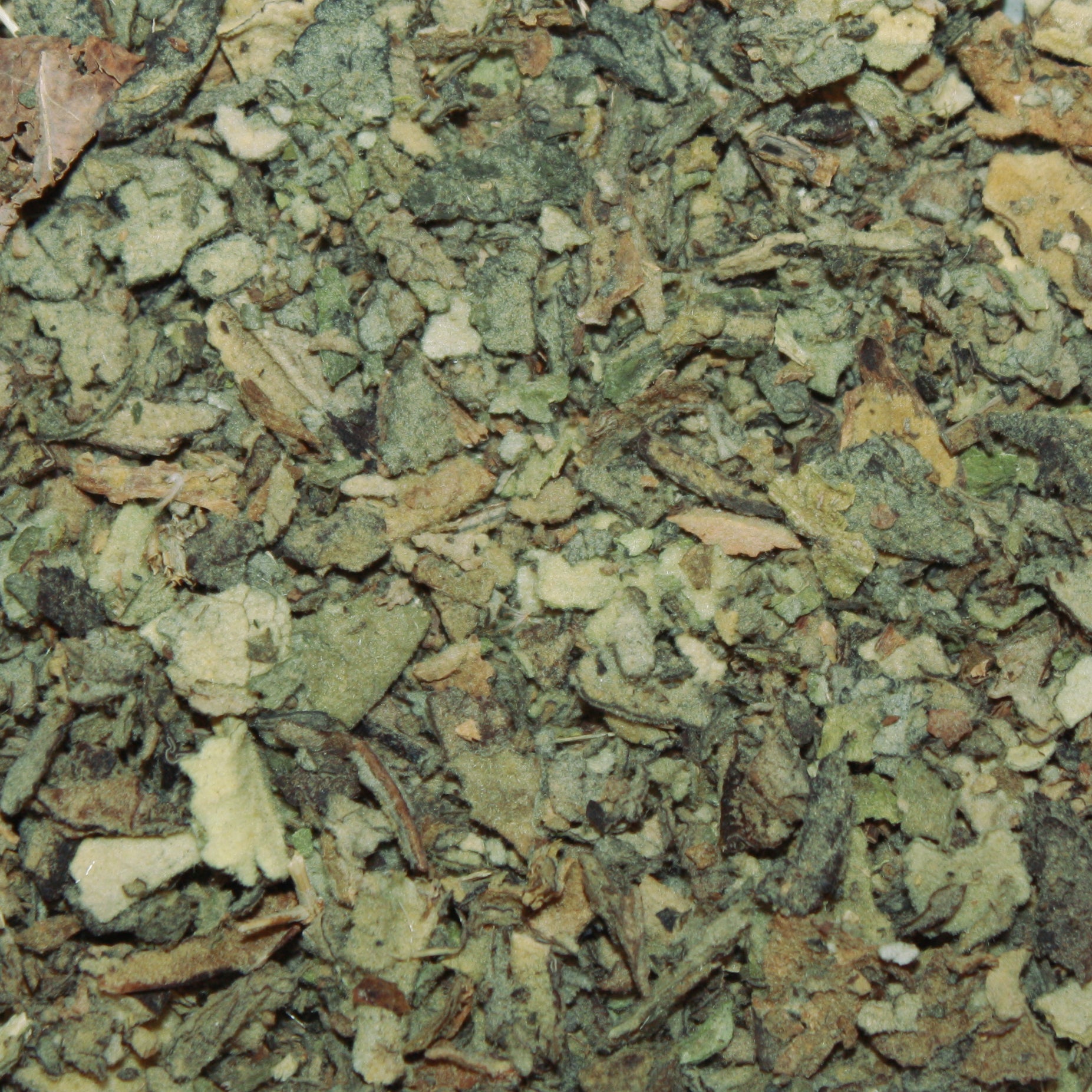 Mullein Leaf is ideal for Protection from nightmares & sorcery, courage, cursing, and invoking spirits