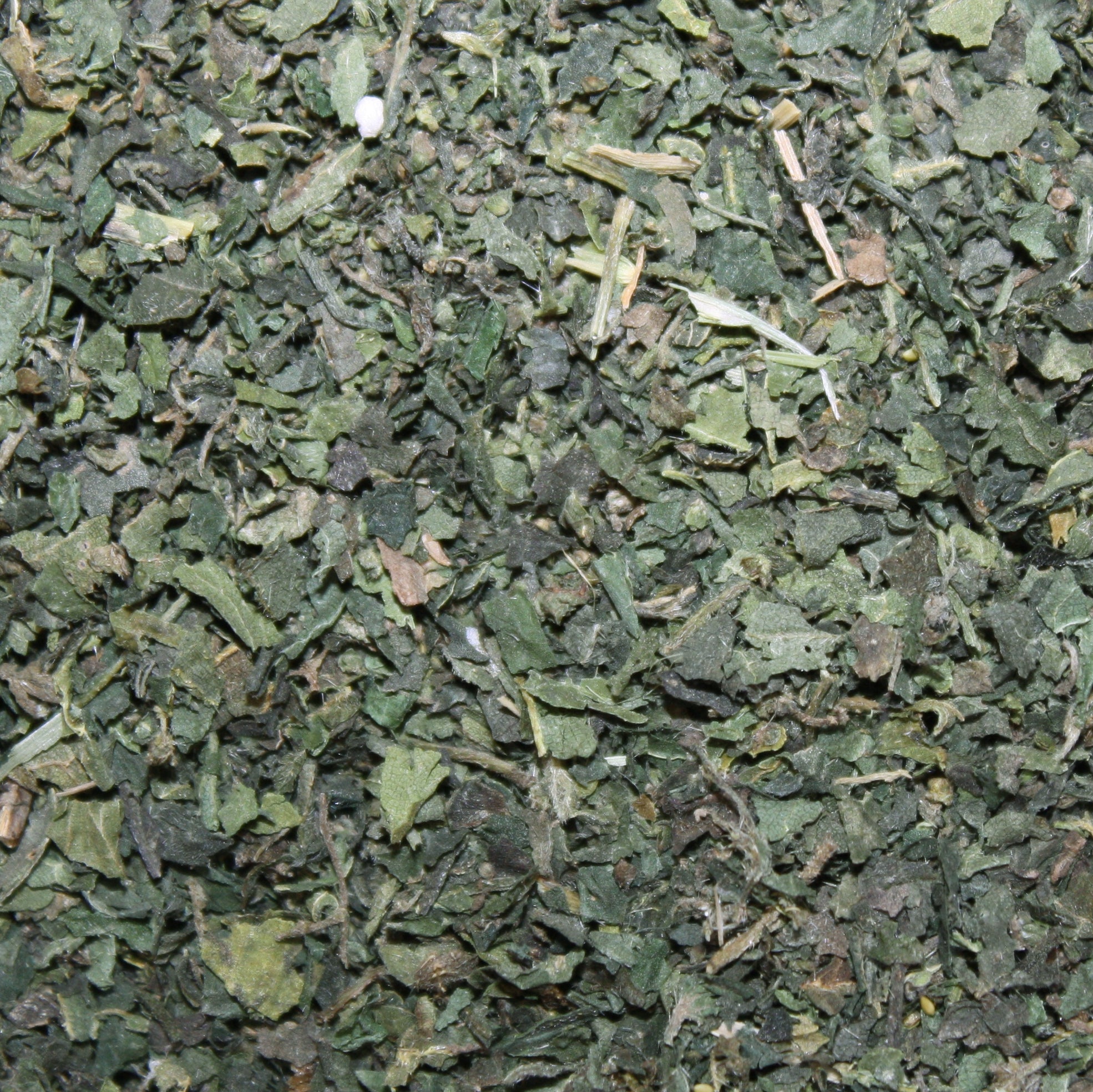 Nettle Leaf magickal uses include dispelling darkness & fear, strengthening the will, and aiding in the ability to handle emergencies