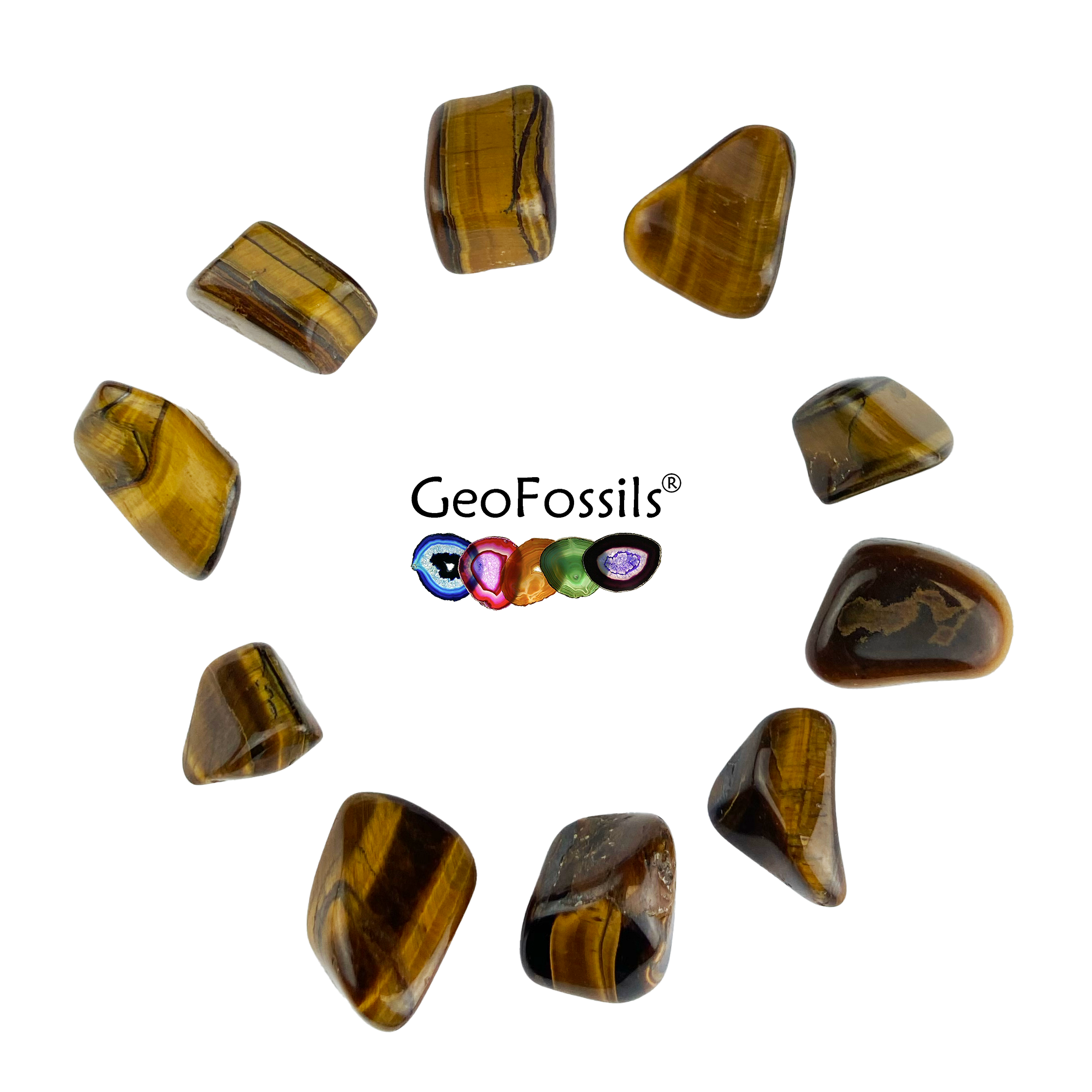 Geofossils Gold Tigers Eye Polished Tumble Stone Healing Crystals