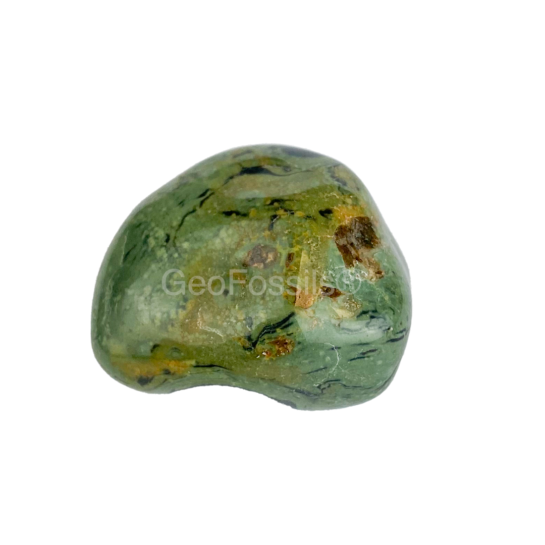 GeoFossils Kambaba Jasper Polished Healing Crystal Tumble Stone