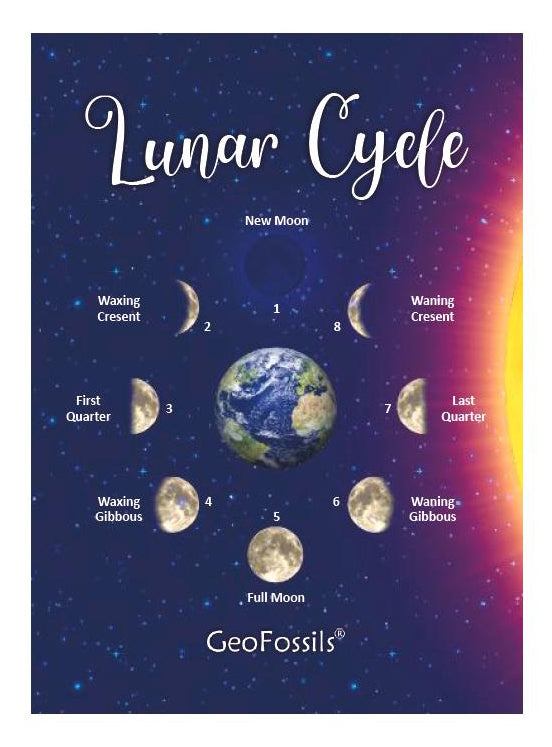 Lunar Cycle 2021 Information Card