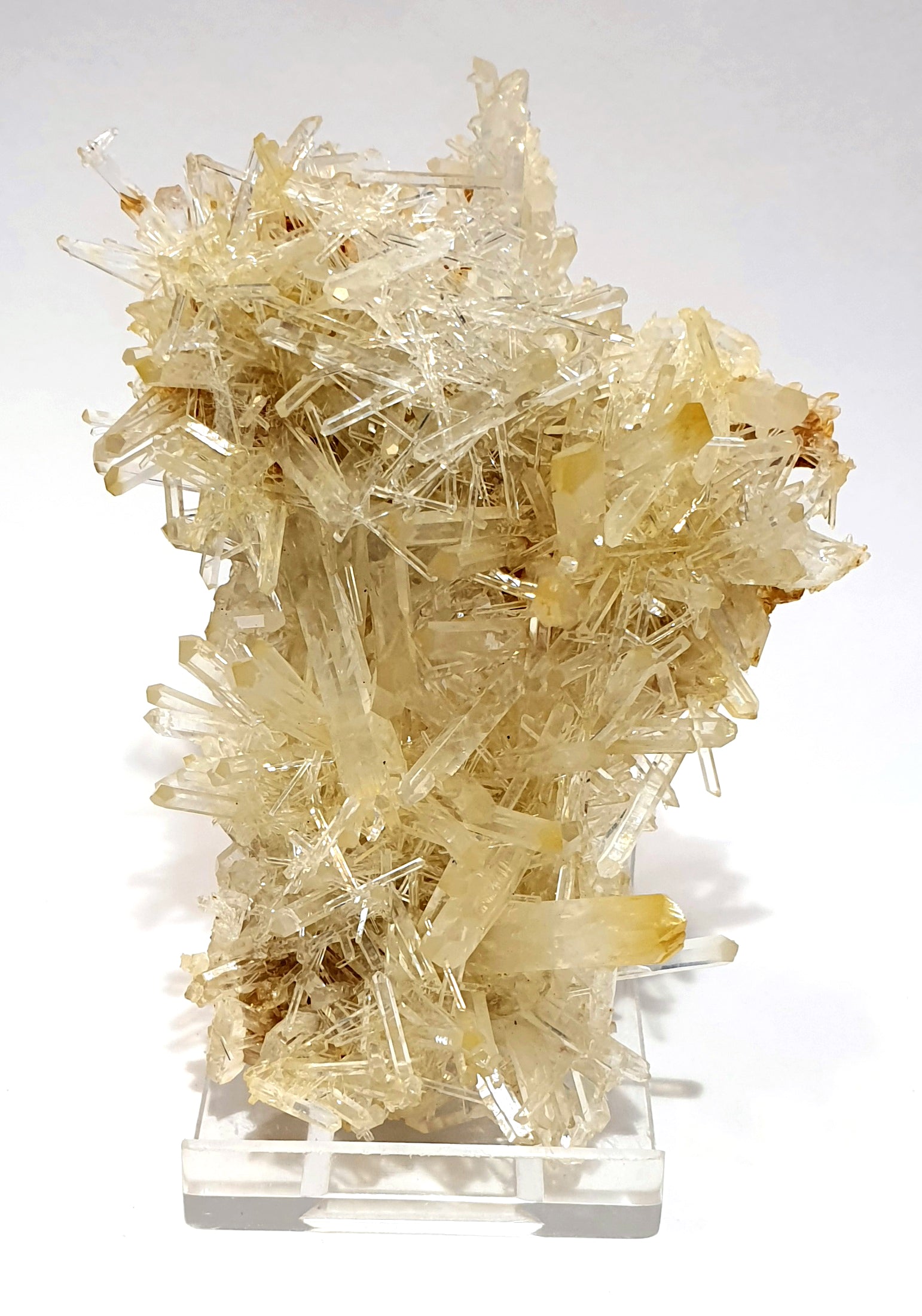 Mango Quartz is crystal clear with yellow tips, fine quartz fingers, large points with crown effect. White with yellow/orange tips irregular shape