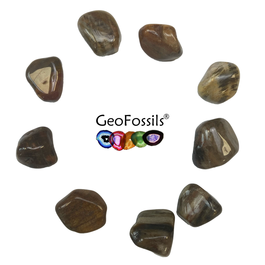 Petrified Wood Tumble Stone – Ancient Support for Stability, Grounding & Wisdom – polished tumble stone for crystal healing and meditation