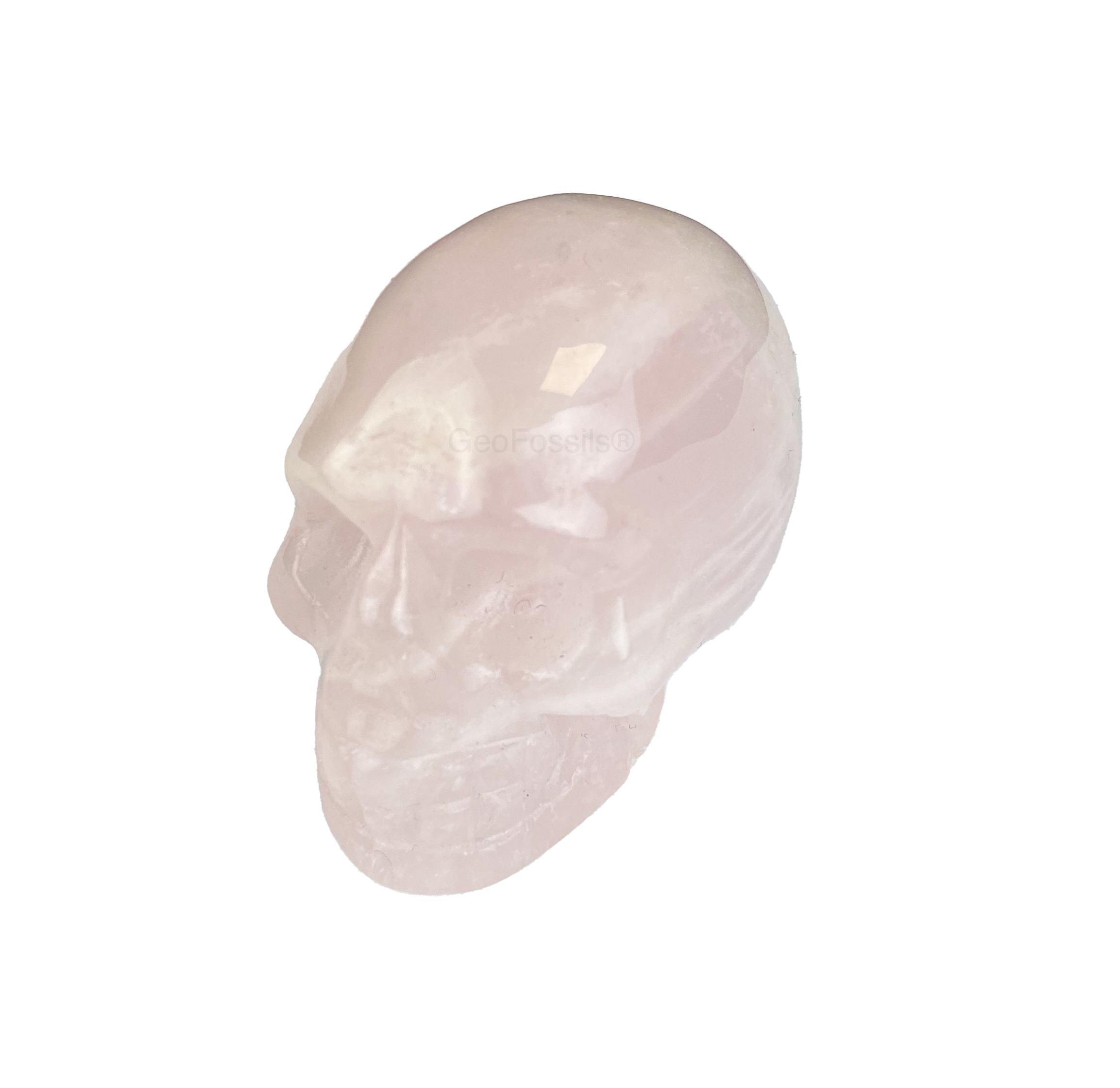 Geofossils Rose Quartz Skull Healing Crystal