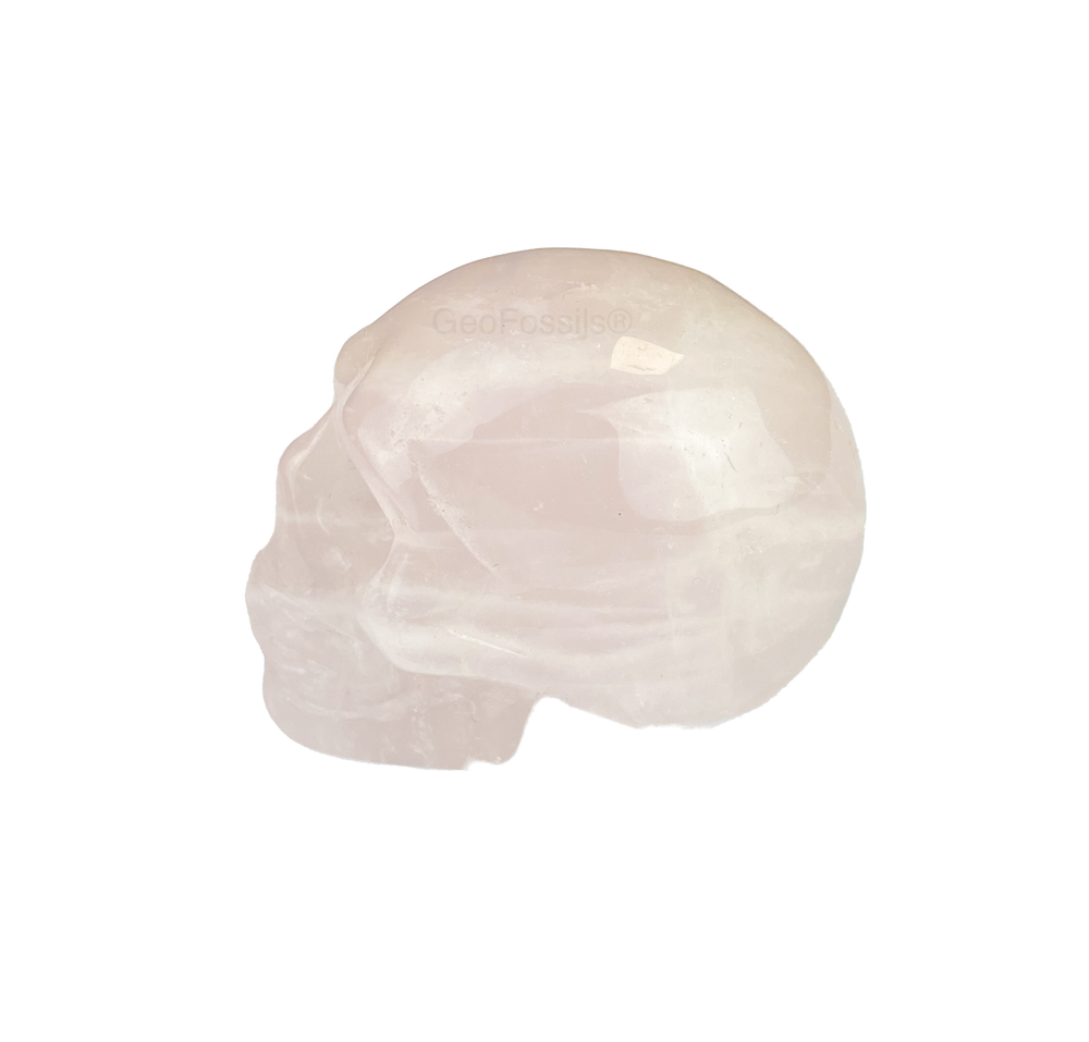 Geofossils Rose Quartz Skull Healing Crystal