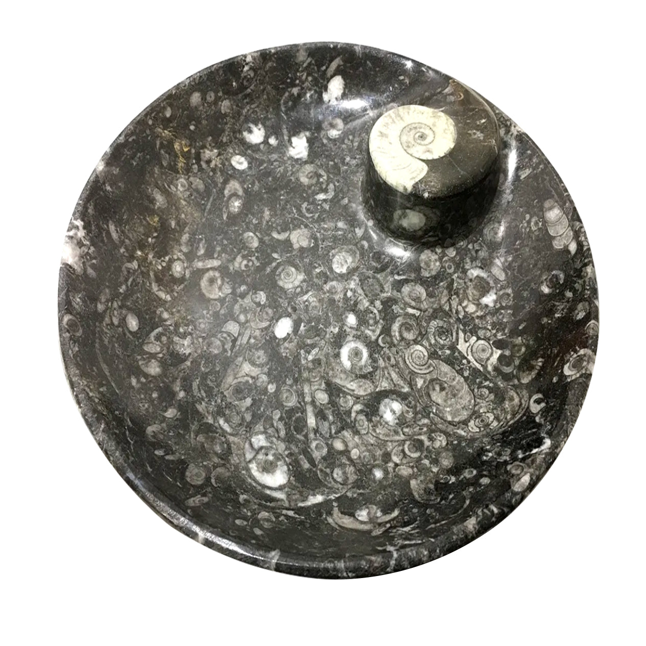 Round Goniatite Fossil Charging Cleansing Bowl