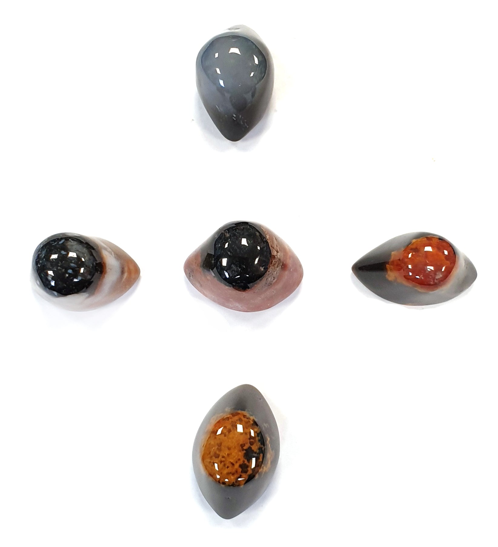 Eye Shape, Eyee ball colour vary, cream, black, orange, brown