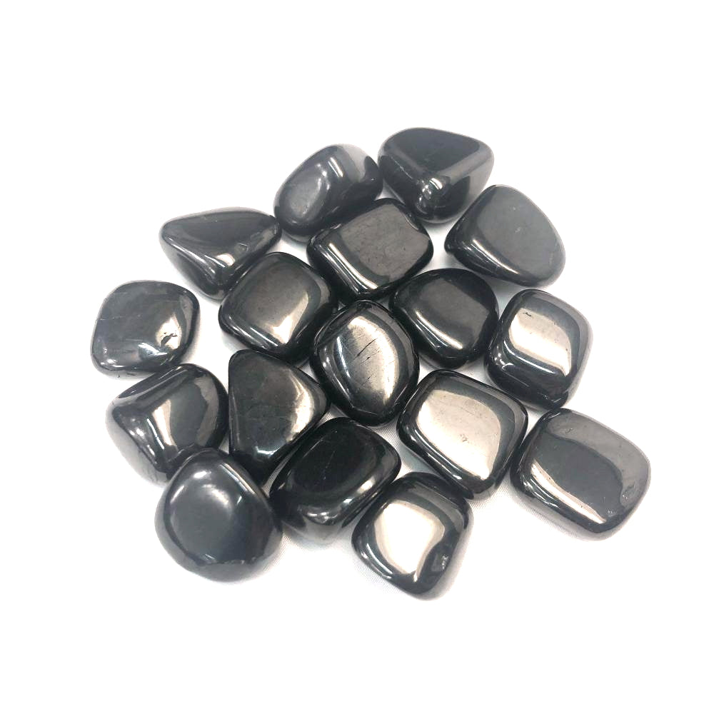 GeoFossils Shungite Tumble Stones