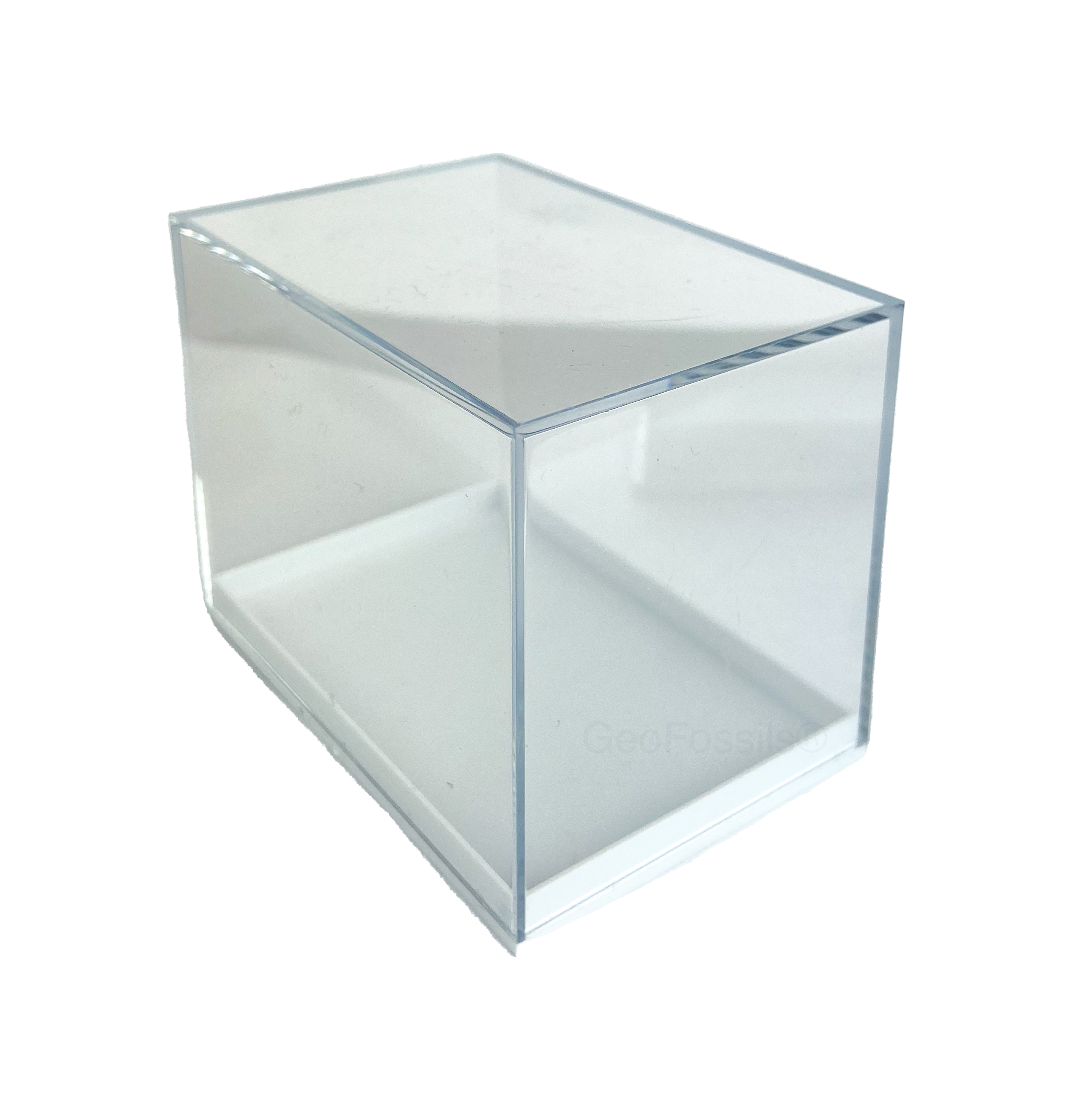 Geofossils Specimen Display Boxes