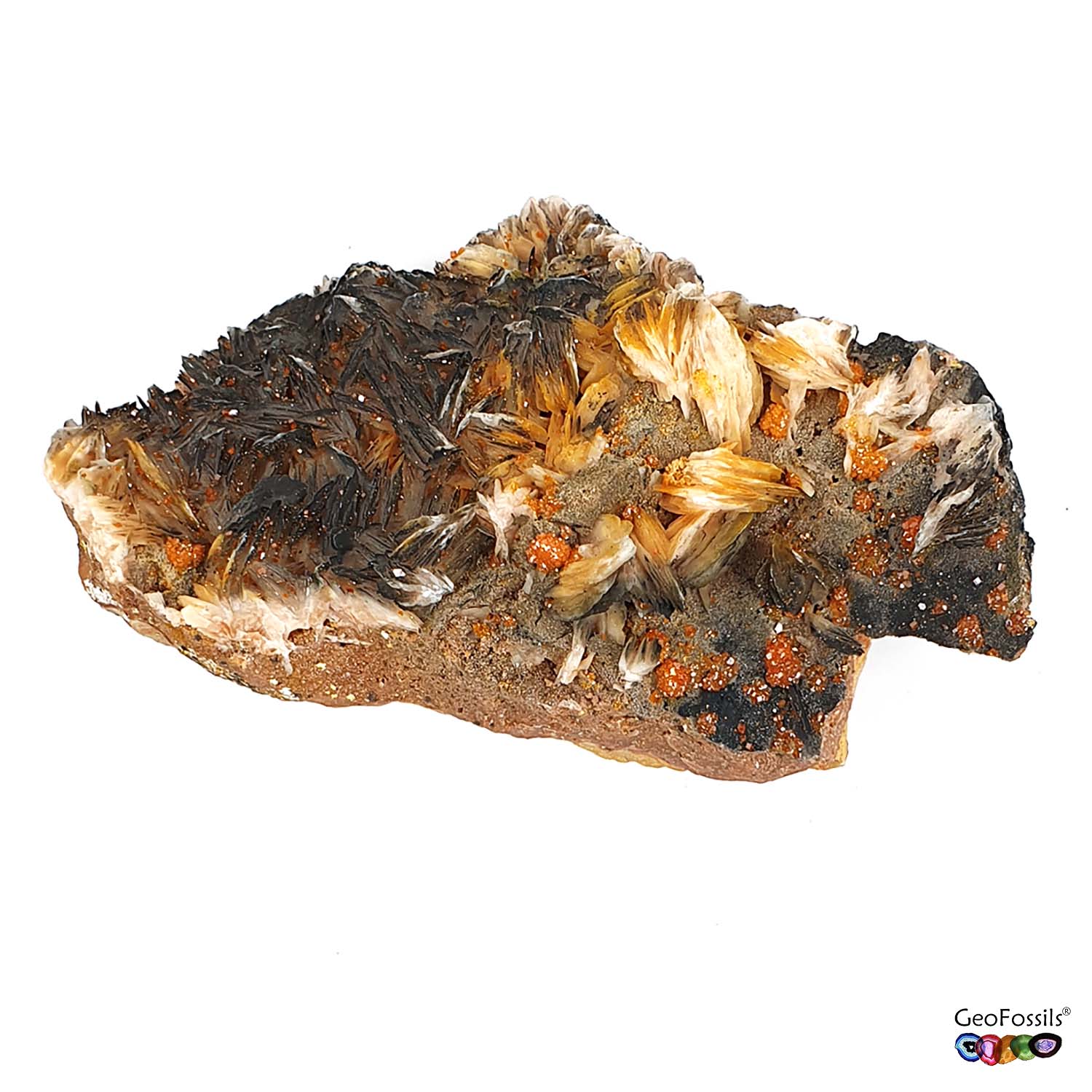 GeoFossils Vanadinite on Matrix with Baryte and Cerussite